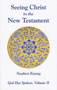Seeing Christ in the New Testament