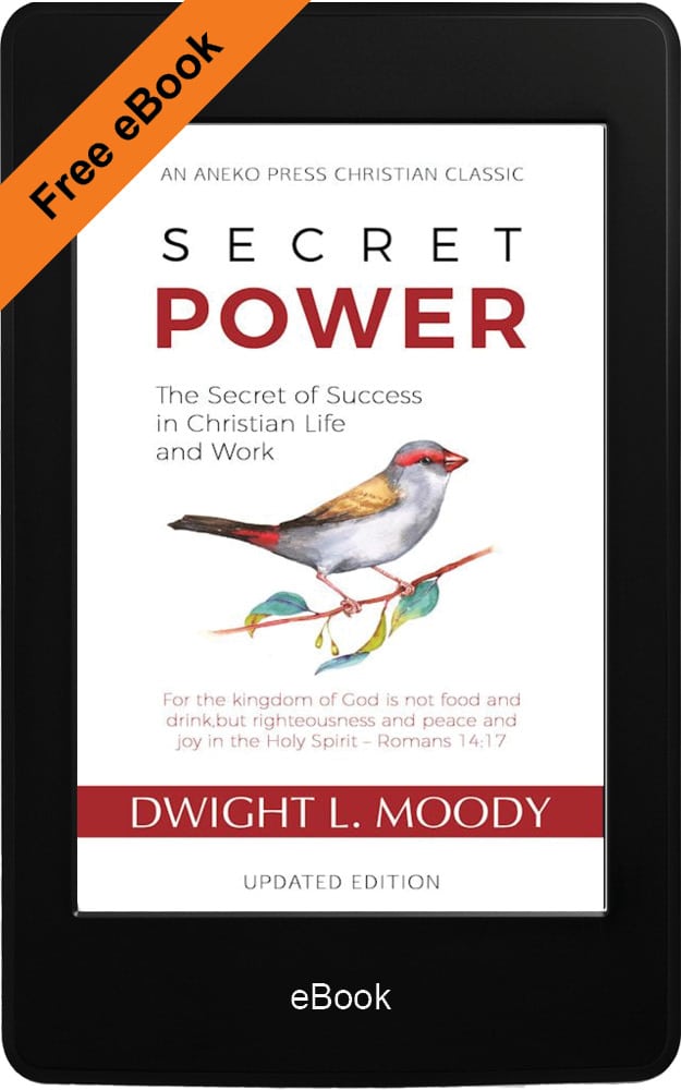 Secret Power eBook